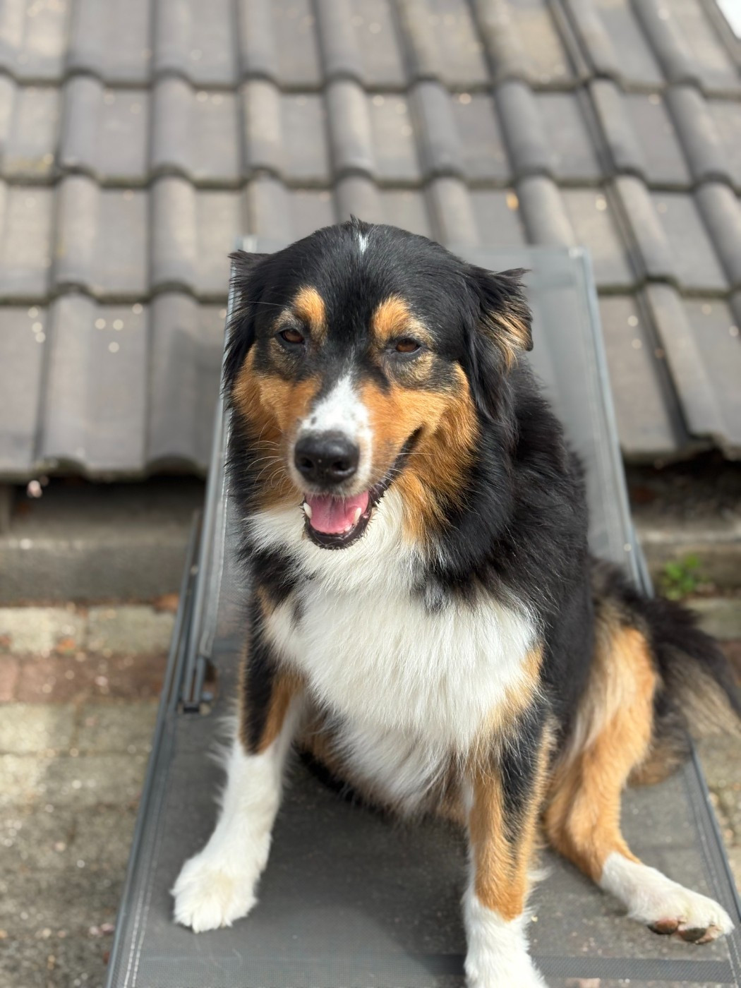 Publication : du Domaine des Charbons Ardents 