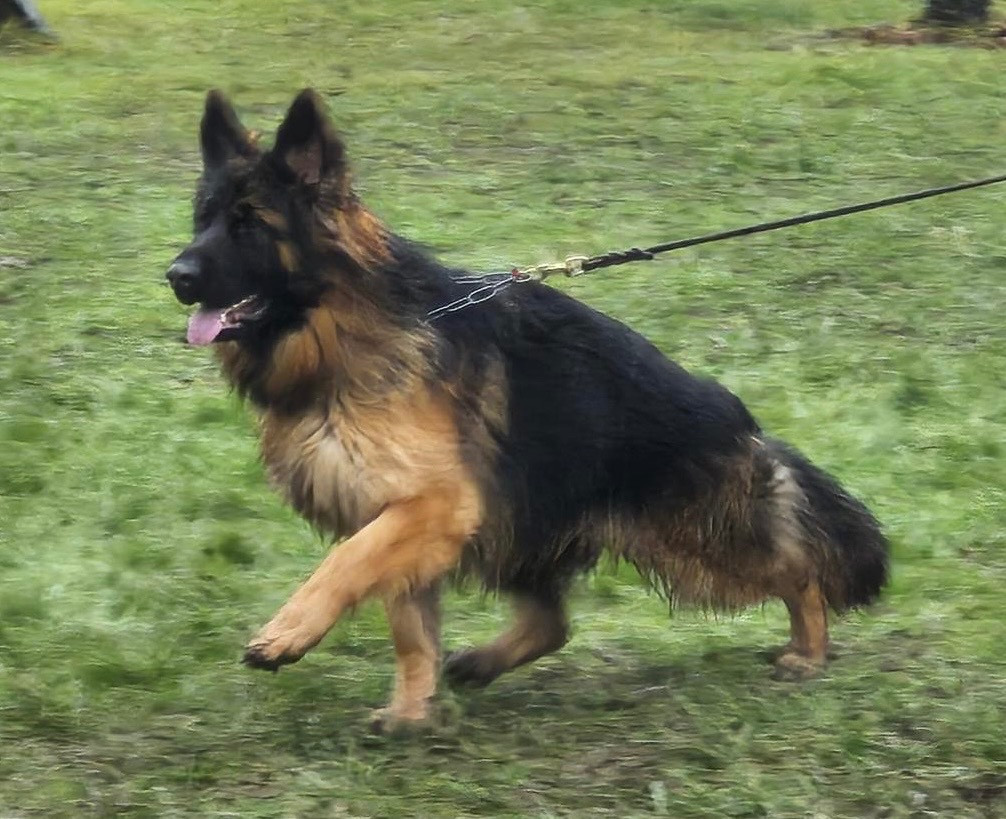 Publication : Légitime Démence 