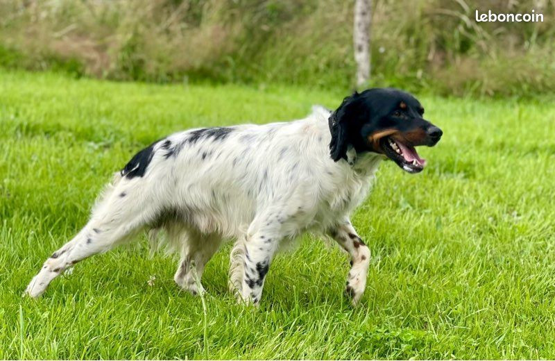 Publication : Du Domaine Des Vicogne 