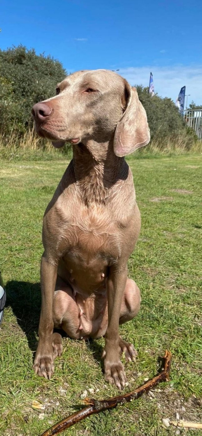 (Sans Affixe) olympe