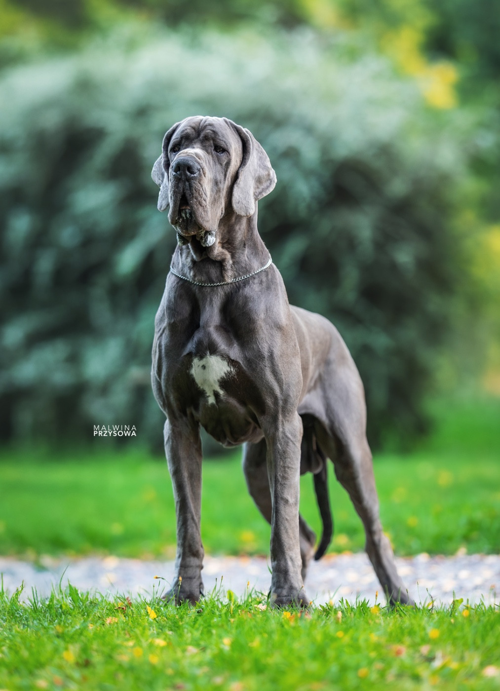 Publication : Au Royaume De Leyla