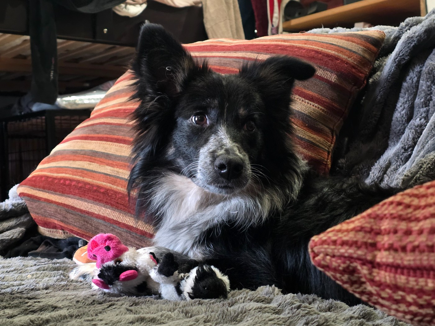 Publication : des Lacs de la Cote d'Argent Auteur : Camille Bégué