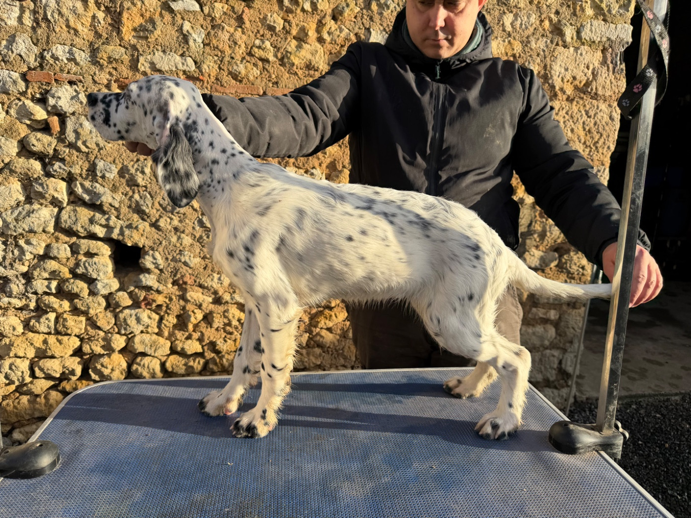 Publication : Du Fief Du Vent