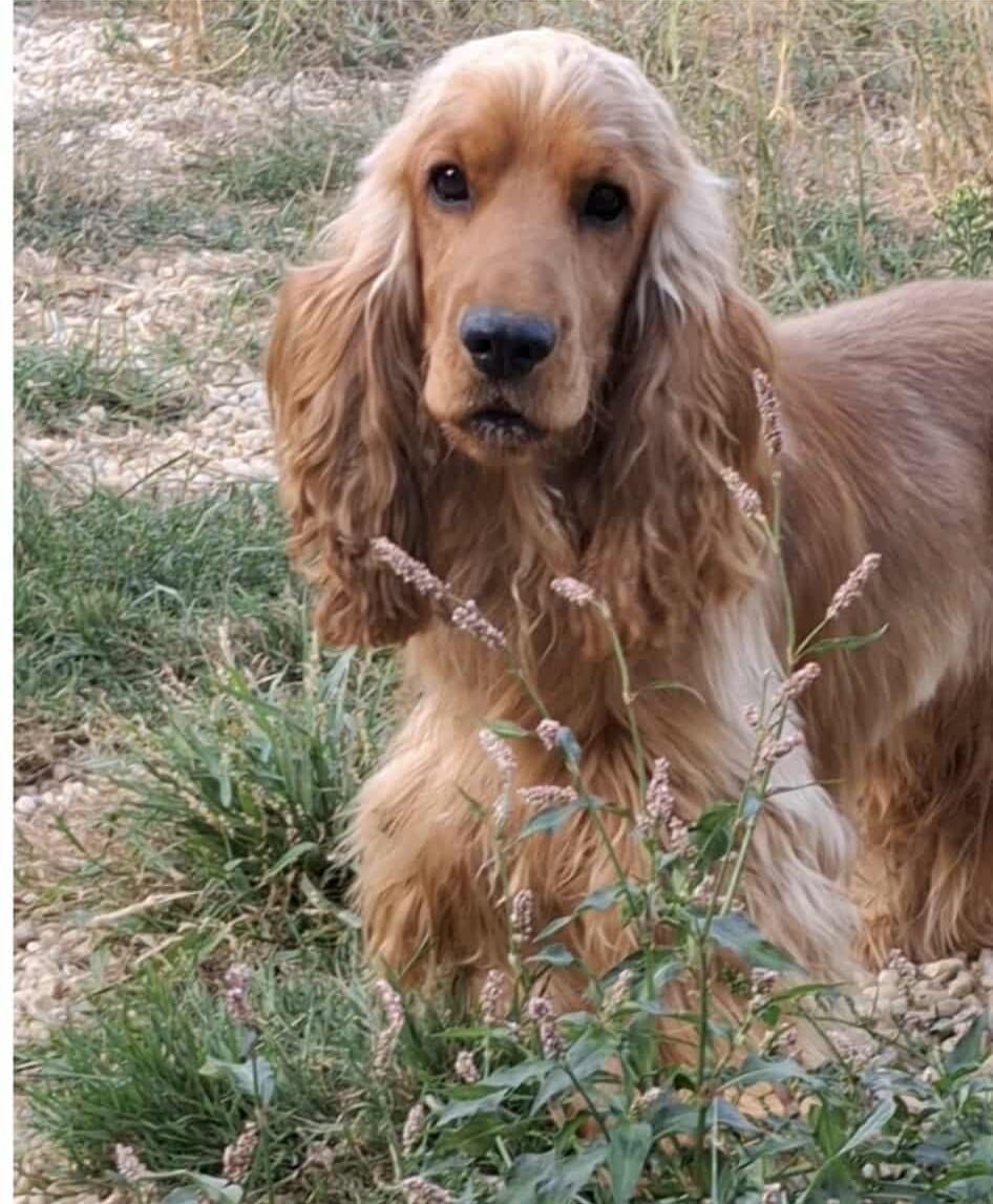 Publication : des beautés d'haza 