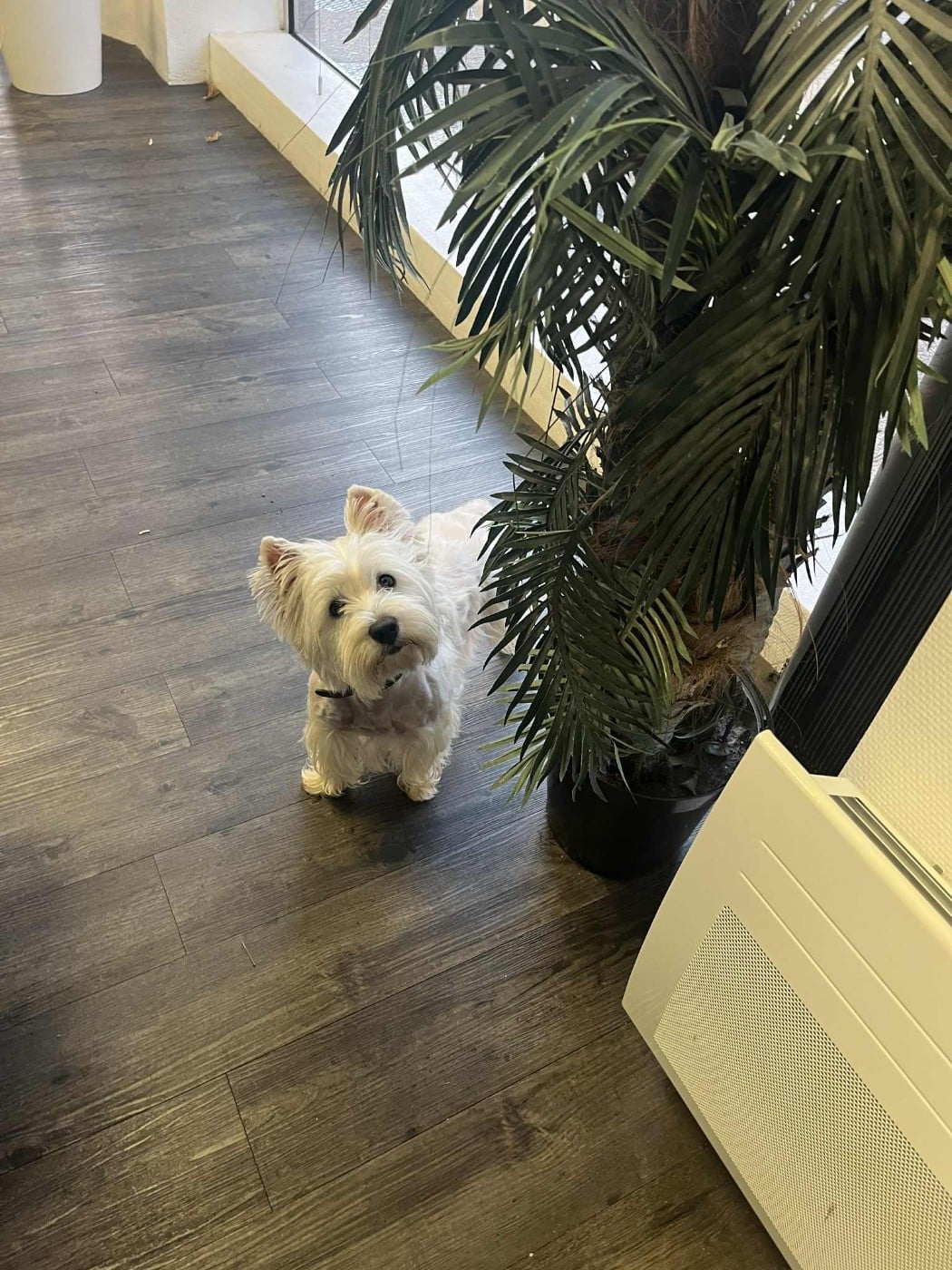 Publication : just for me 