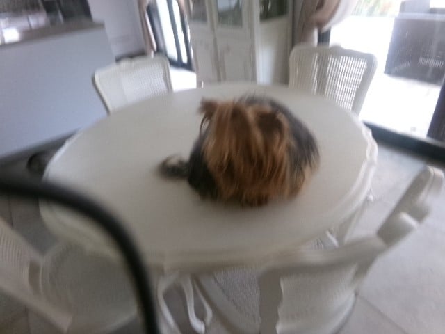 Publication : (Sans Affixe) 