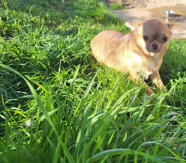 Publication : Du Hameau De Selcra