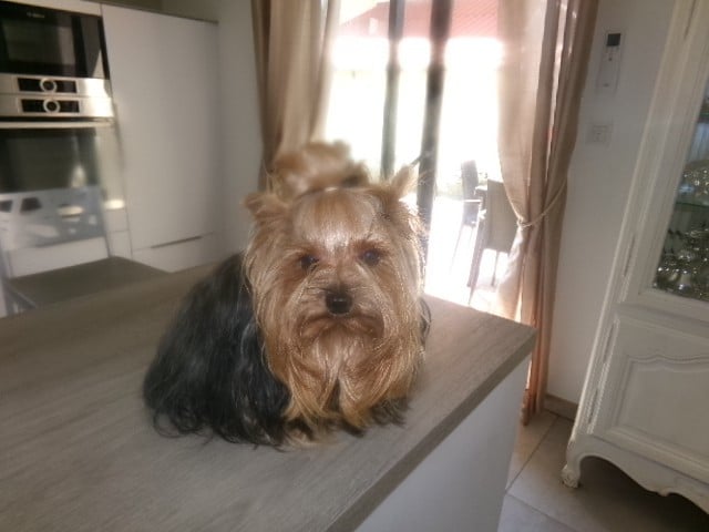 Publication : (Sans Affixe) 