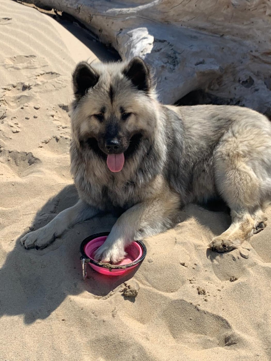 Publication : Des Hauts De Chamboursat