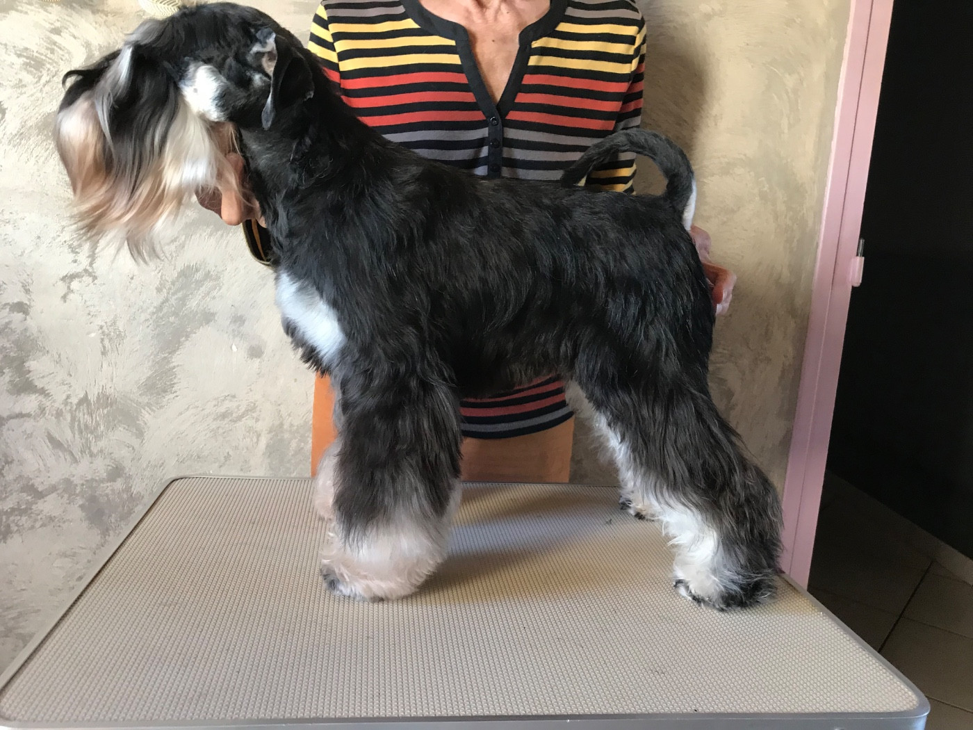 Publication : des forbans du Roc d'Hervieux