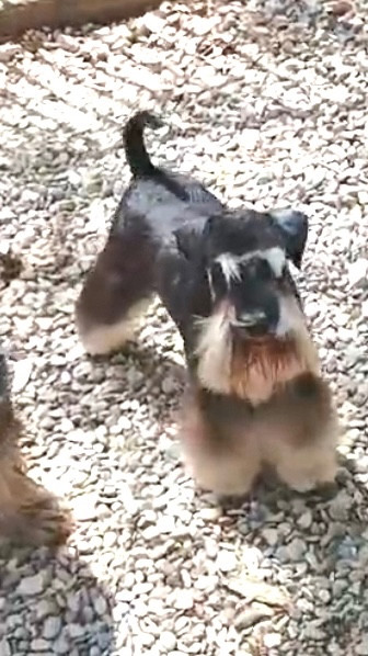 Publication : des forbans du Roc d'Hervieux