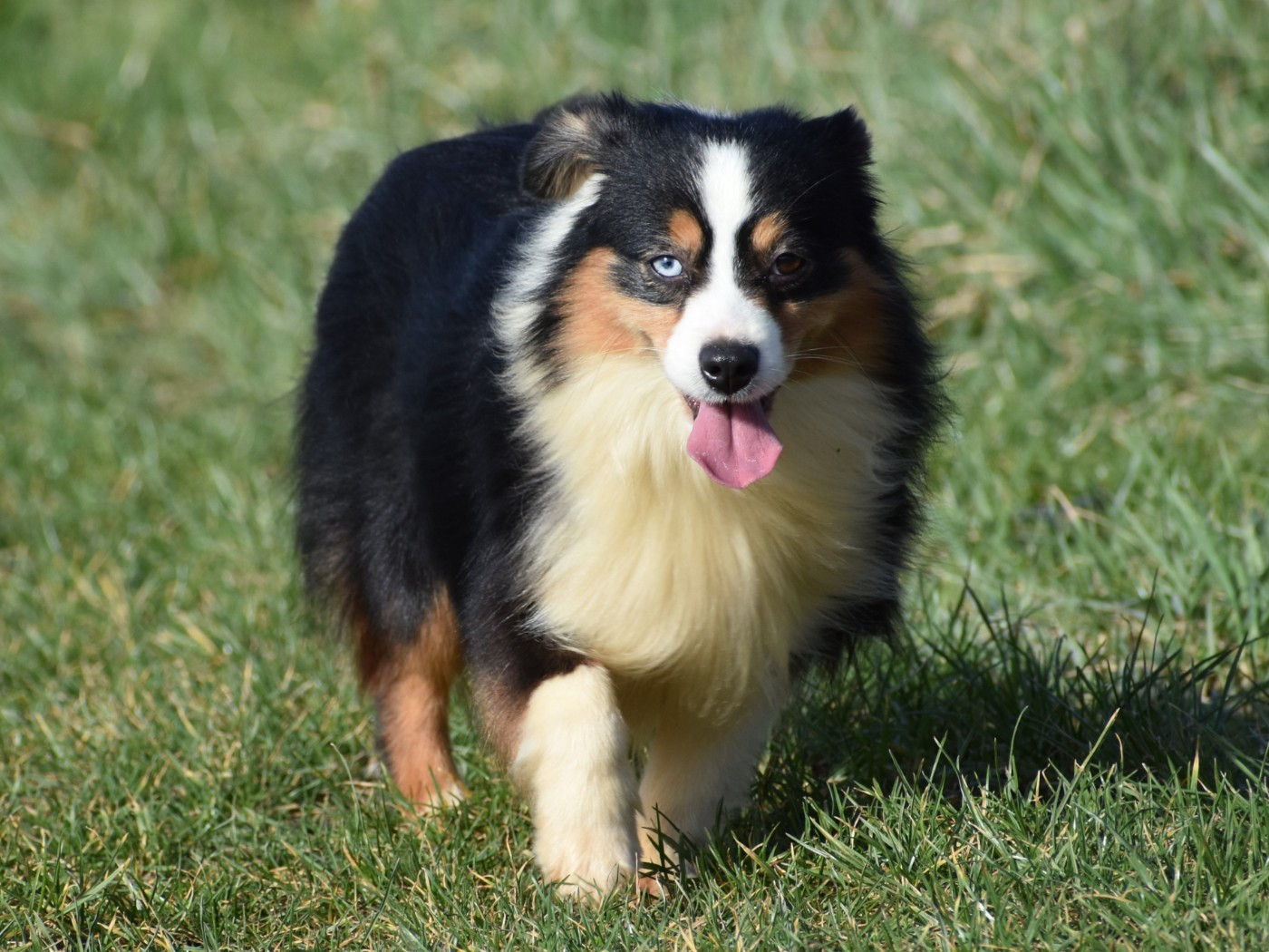 Publication : De La Folle Emprise