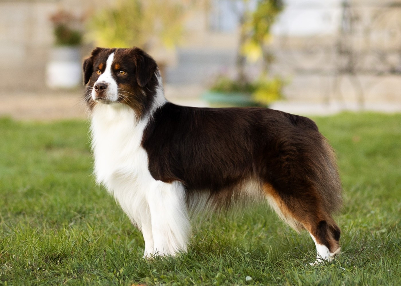 Publication : De La Folle Emprise Auteur : Margot Guillet