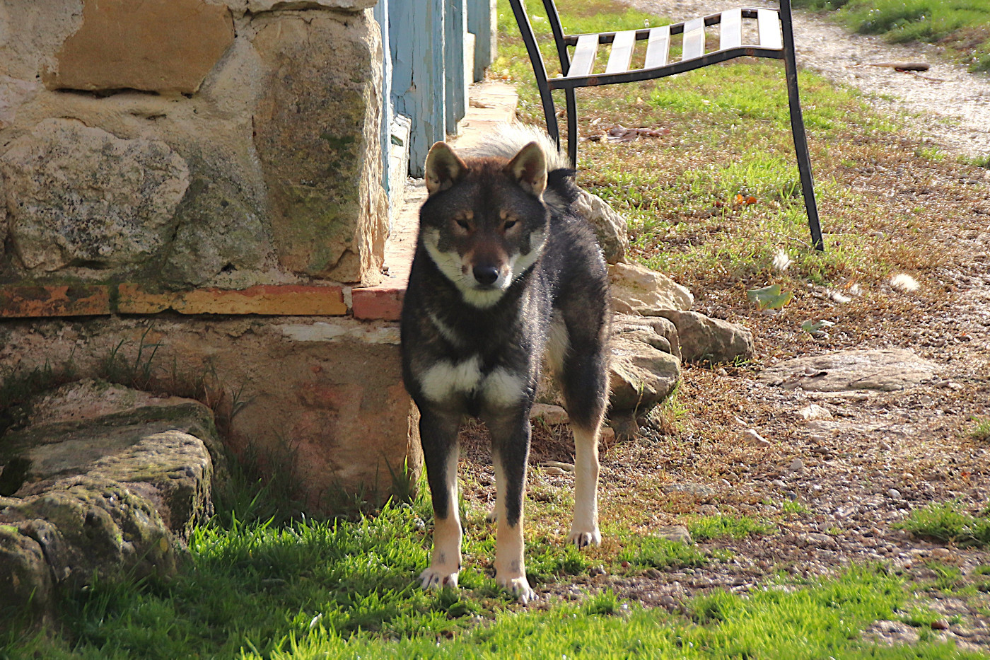 Publication : Du Temple De Ginkaku-ji Auteur : Coudrais Marina