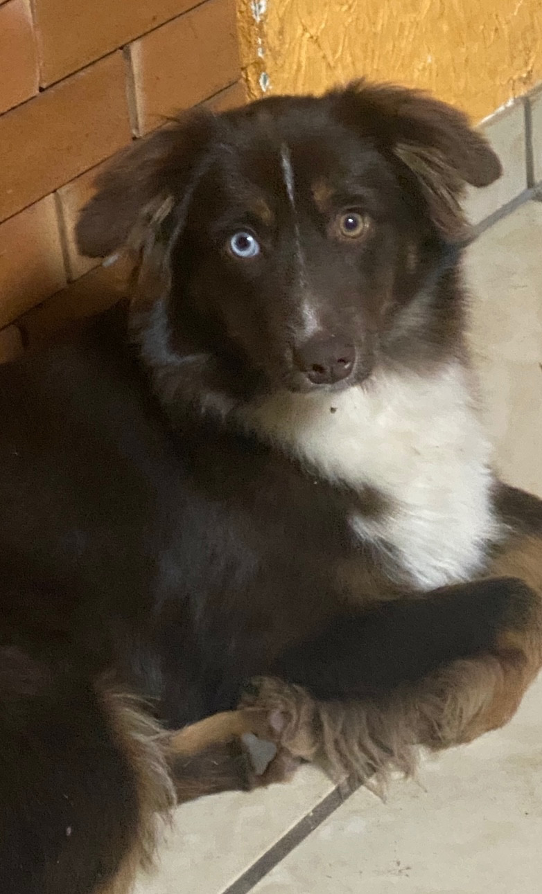 Publication : de l'Amour de l'Arc en Ciel 