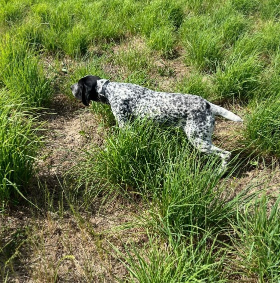 Publication : du ruisseau de Montbrun 