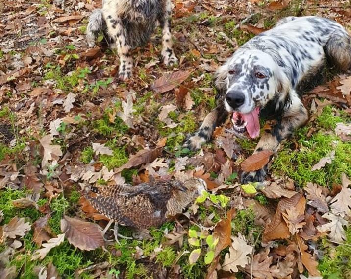 Publication : Des Bords De La Trézence