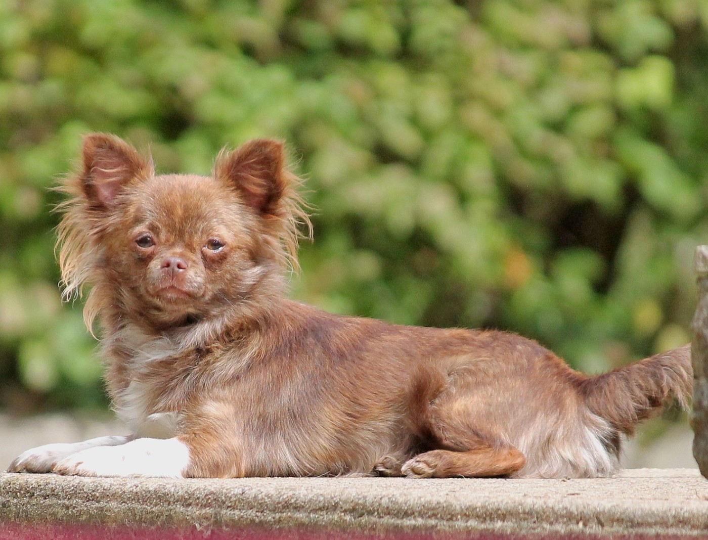 Publication : du domaine d'orca Auteur : BODEAU ALEXANDRA