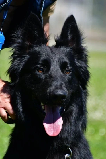 Publication : Du Musher 