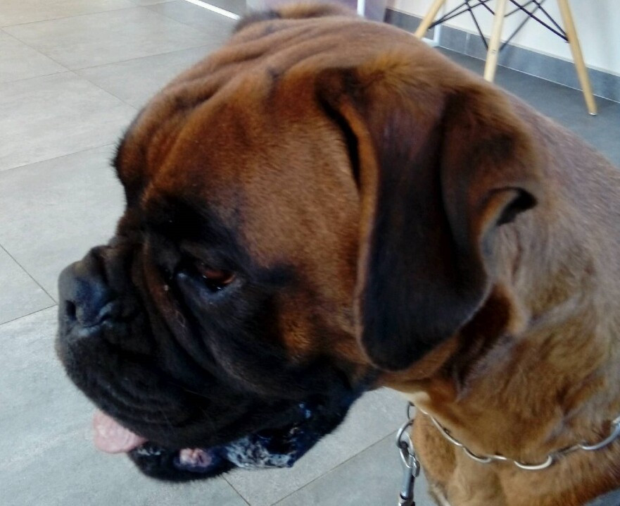 Publication : Du Chemin Des Lavandes