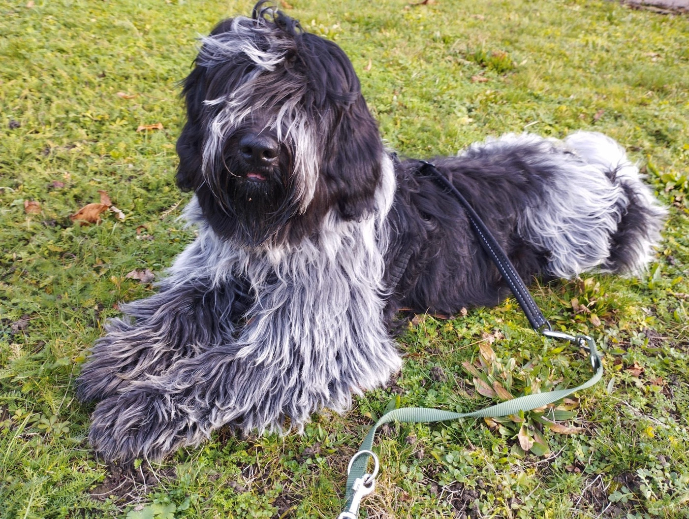 Publication : du Jardin aux Eglantines Auteur : ARTHUS 9 MOIS