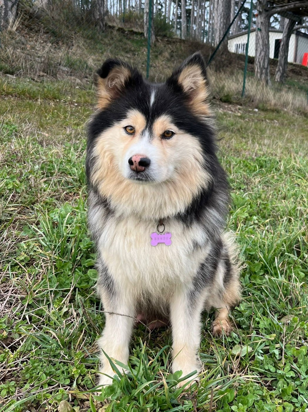 Publication : Du Domaine Louchine