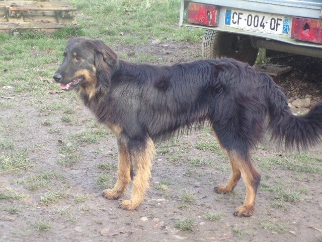 Publication : Matata des Dunes 