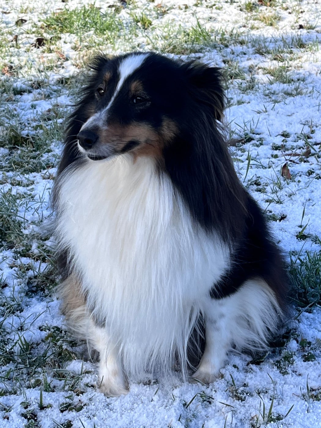 Publication : (Sans Affixe) Auteur : Gilles Nadege