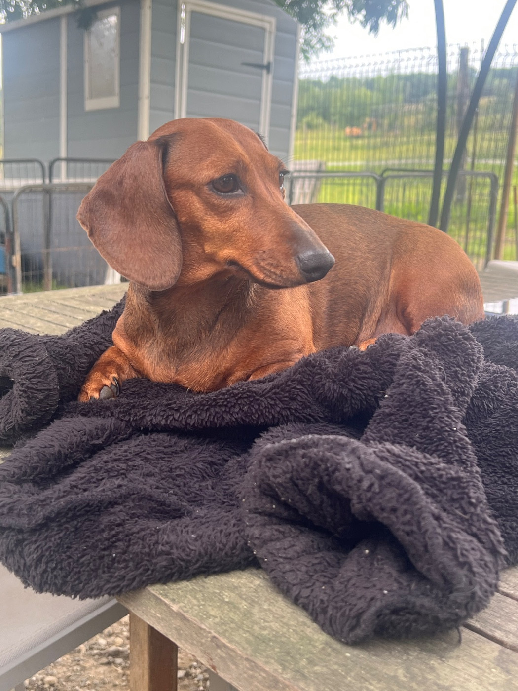 Publication : de la Cité du Guerrier 