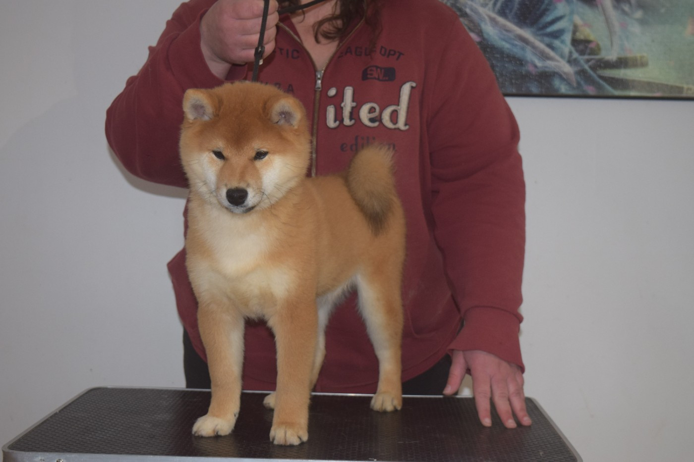 Publication : De La Perle Des Quatre Ames 