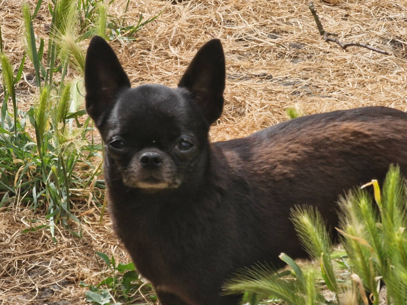 Publication : des parfums d'ambre