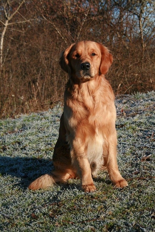 Urricane Du pays sauvage