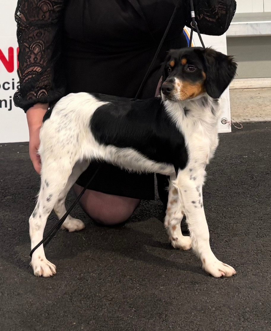 Publication : Du Domaine Des Vicogne 