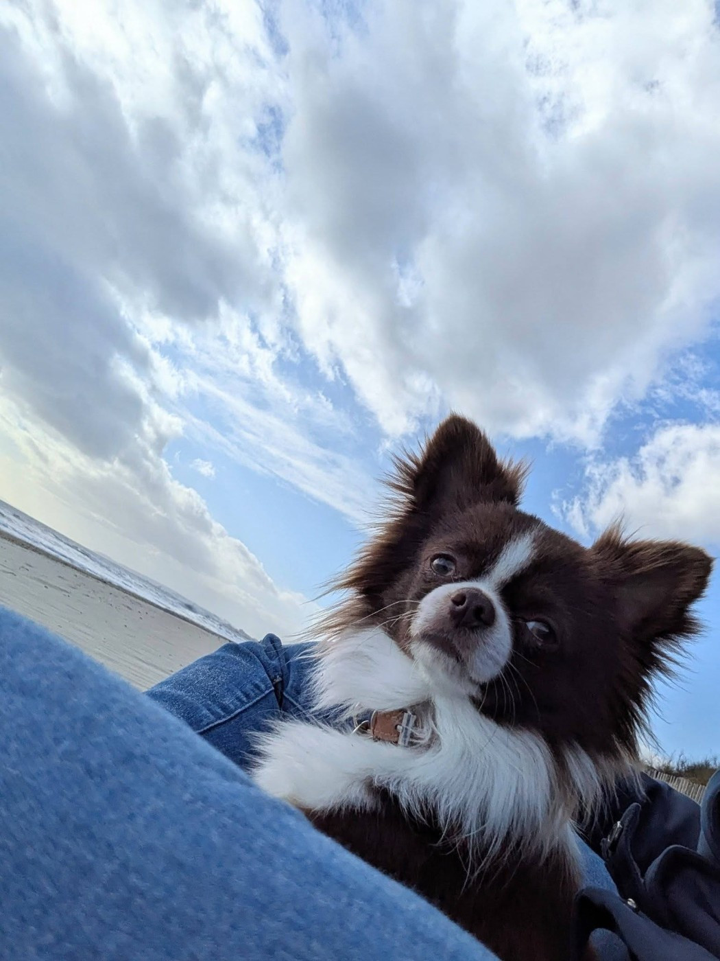 Publication : De La Grande Epopée Auteur : VILLE EUGENIE