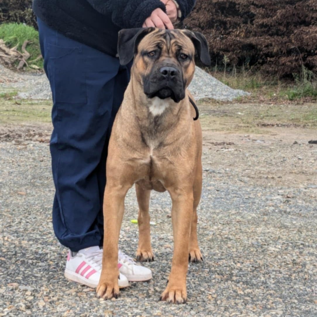 Publication : du Royaume de la Romance