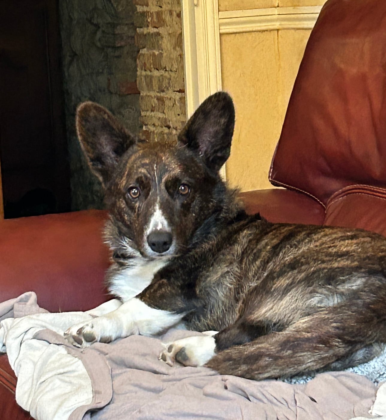 Publication : de la Lande d'Escurat 