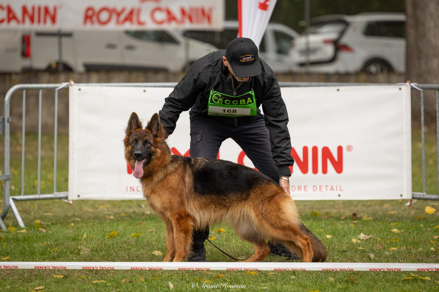 Publication : des Princes de Sarvar 