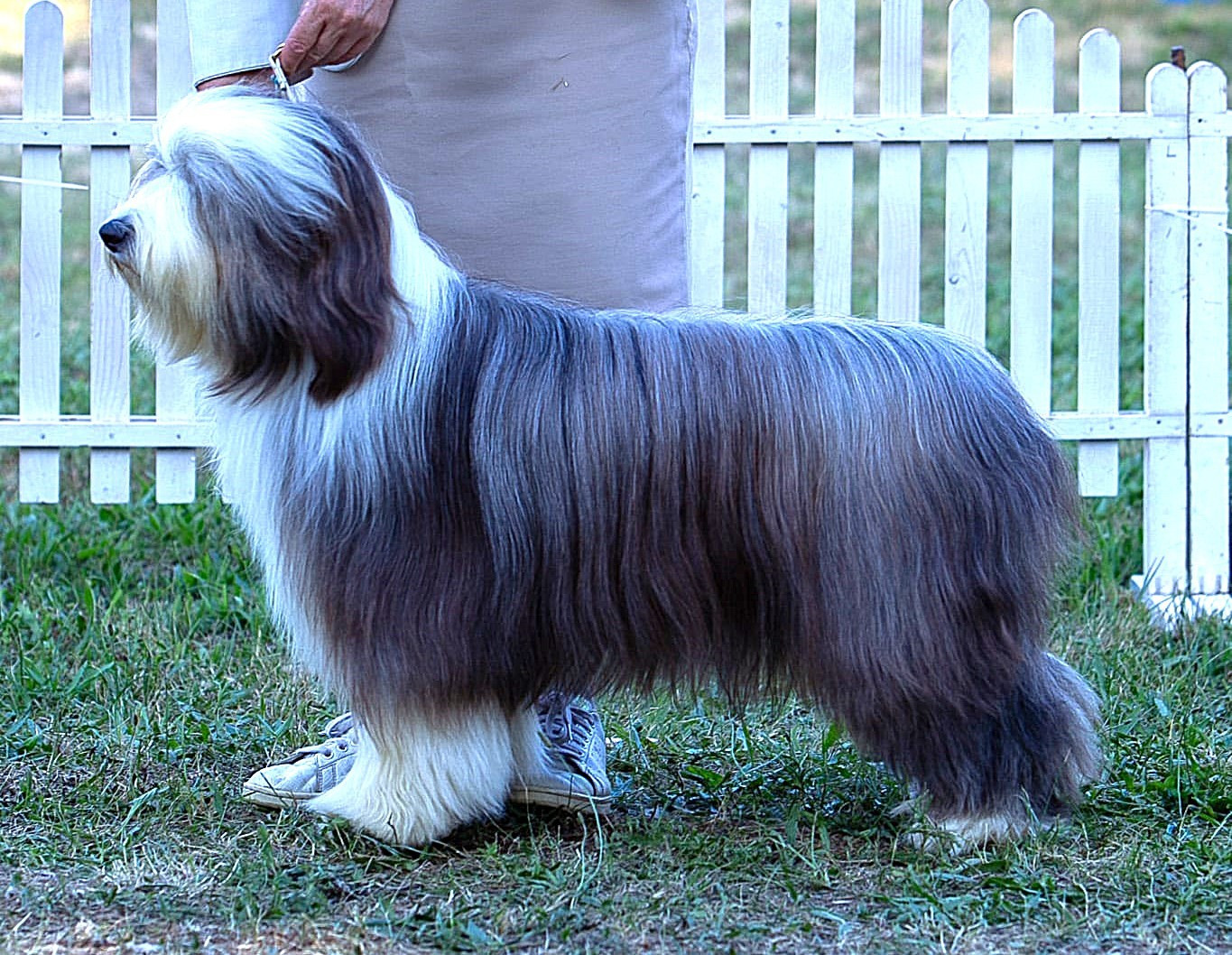 Publication : de la Tour Mélusine Auteur : jmbb