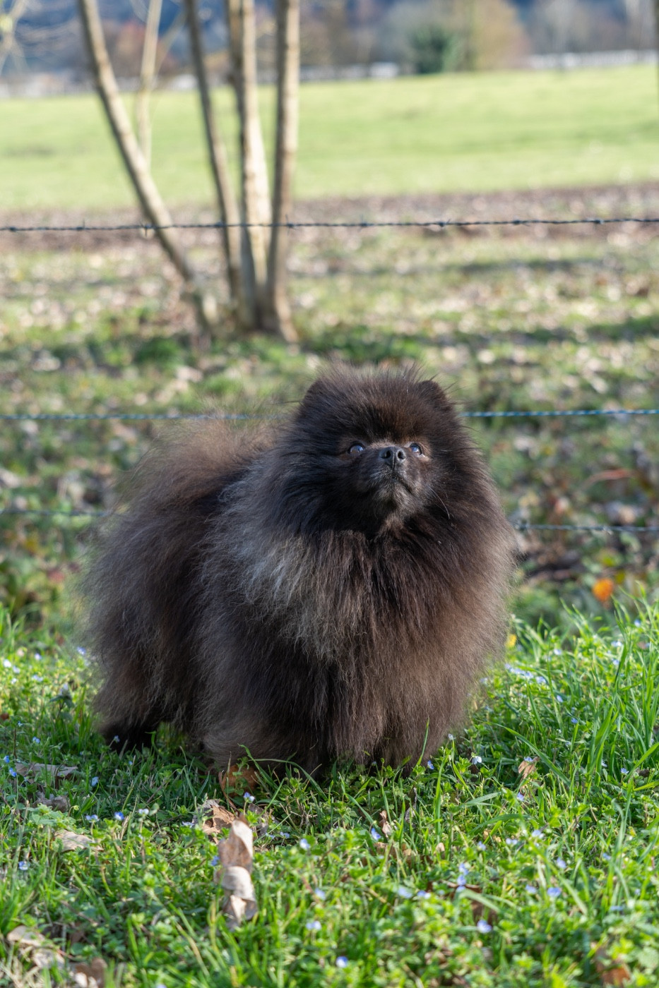 Publication : Du Domaine Du Prieure De Cayac 