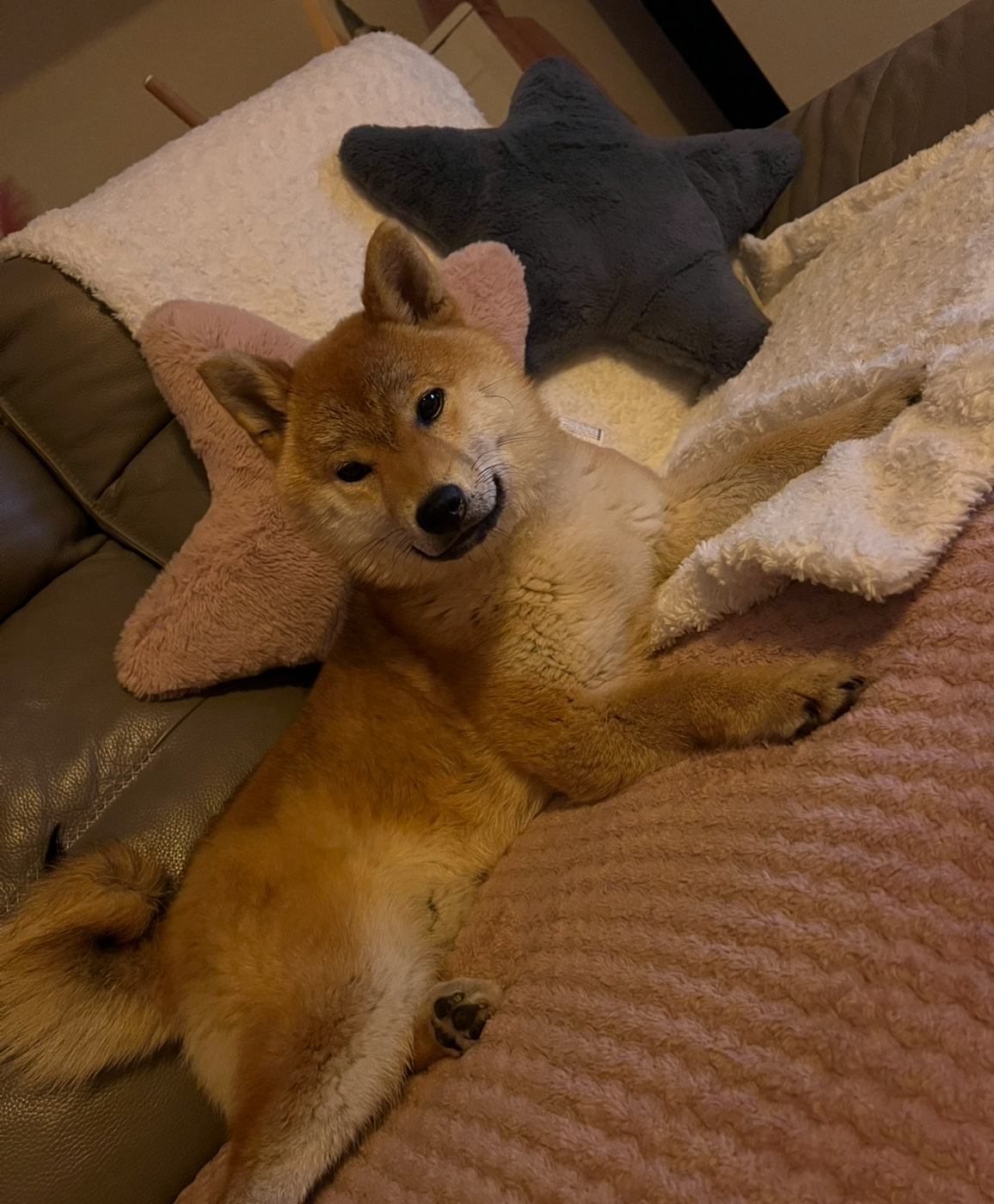 Publication : of Skystaff Starbuck 