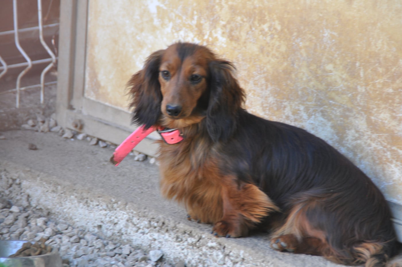 Publication : Du Souvenir De Tootsie 