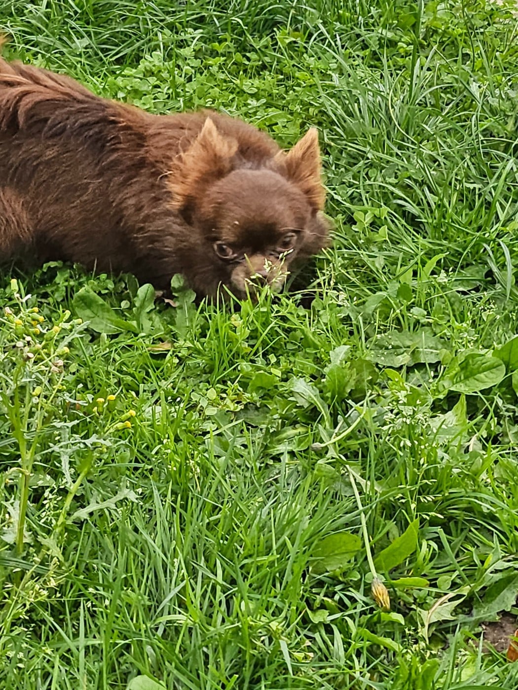 Publication : Du Hameau De Selcra