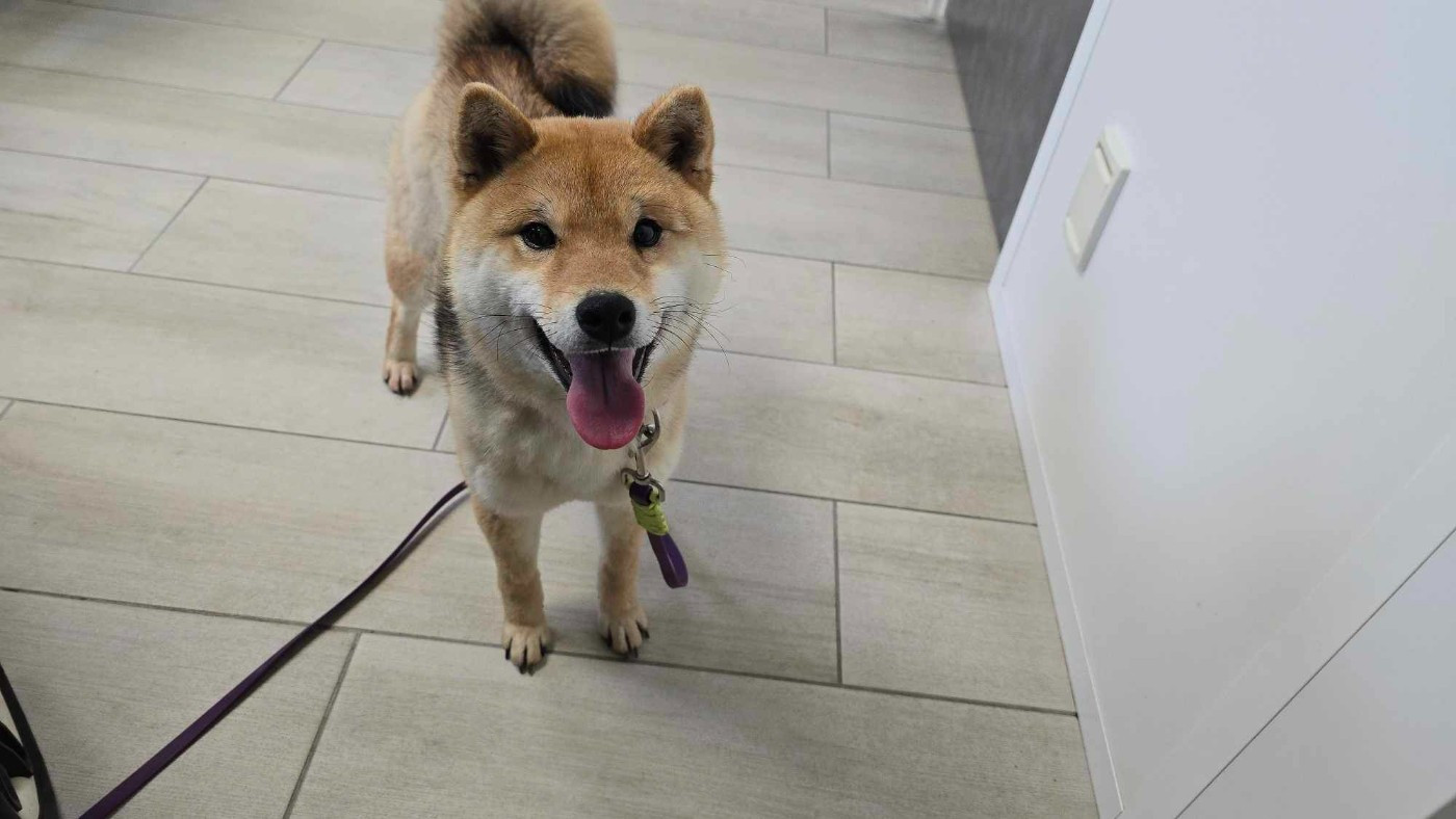 Publication : De La Vallée Des Loges 