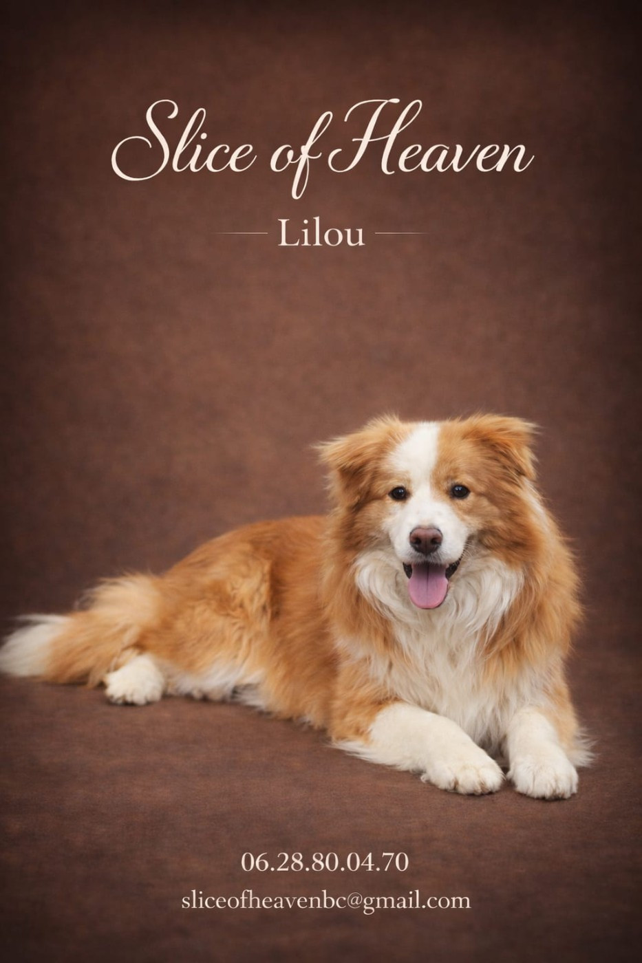 Publication : Slice Of Heaven 