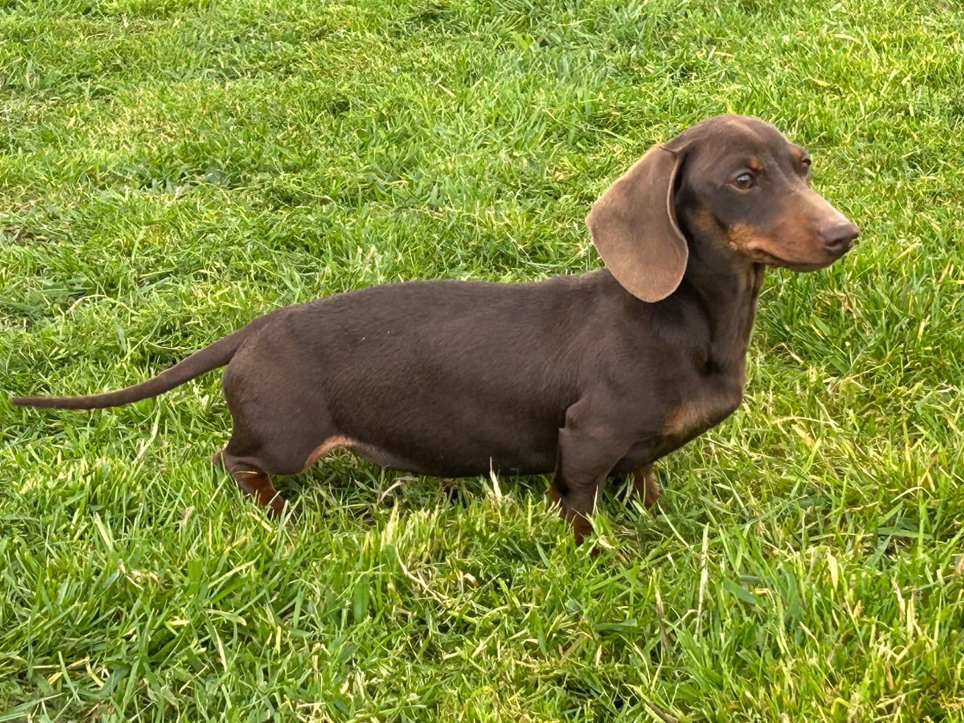 Publication : De La Cour De Mimali 