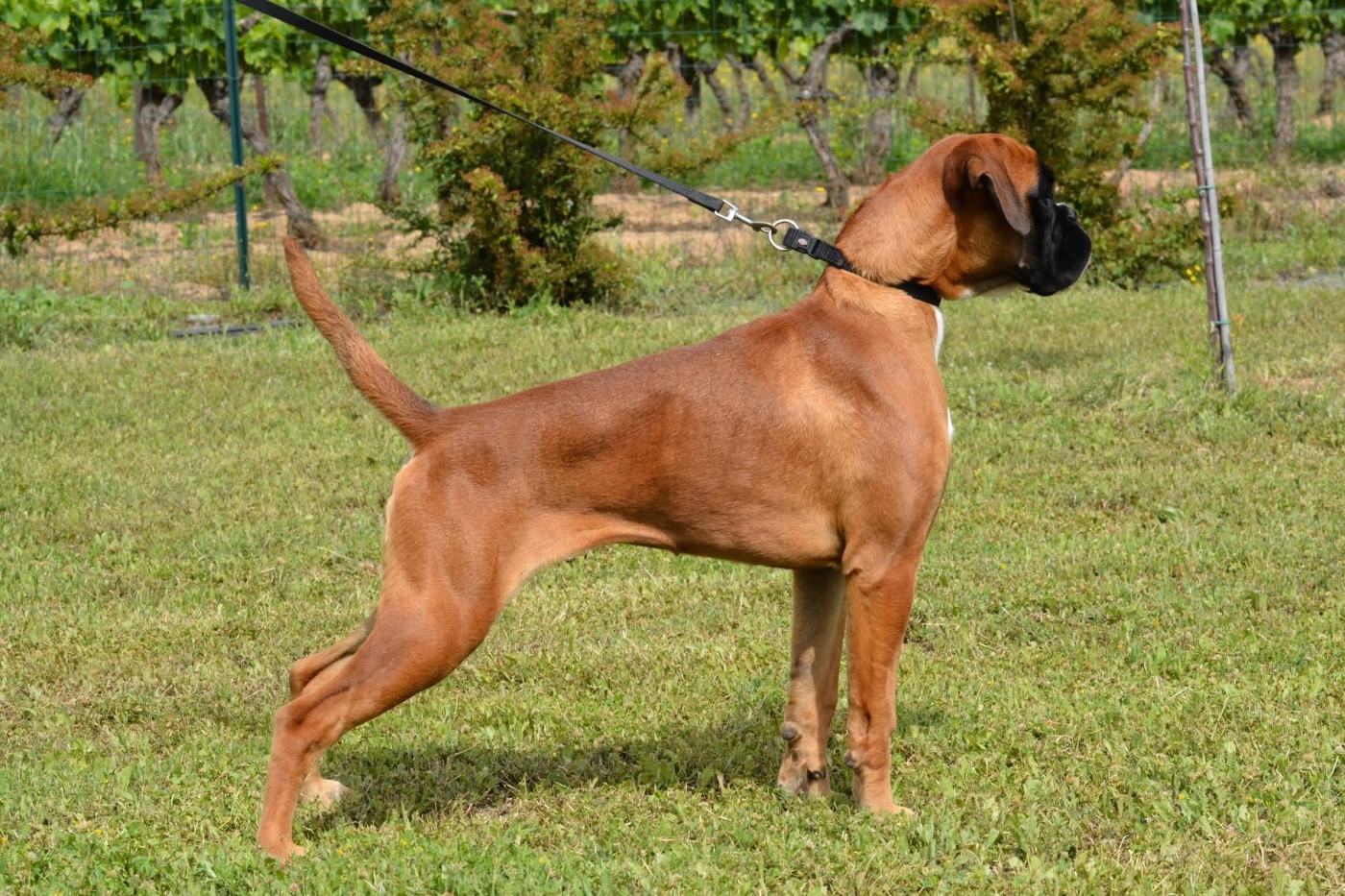 Publication : Babines En Folie