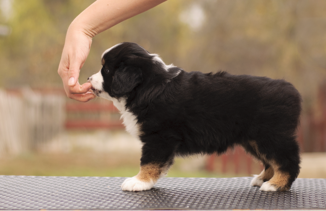 minimark After Eight