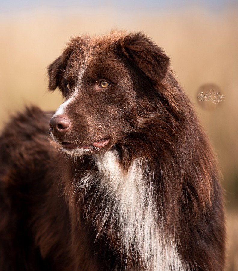 Publication : of the smiling house 