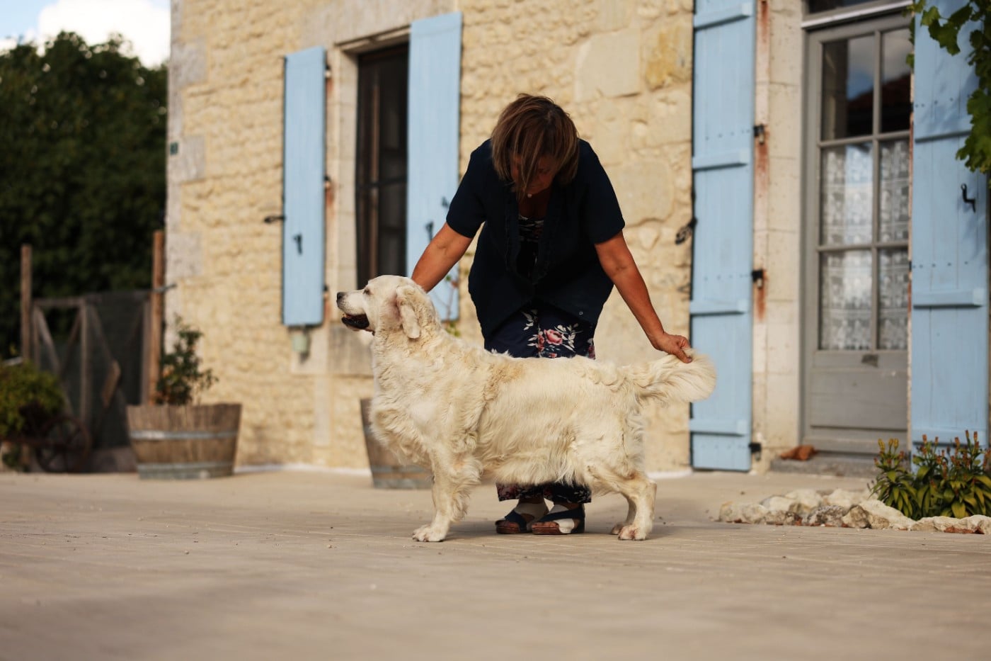 Publication : 1st Class Goldens 