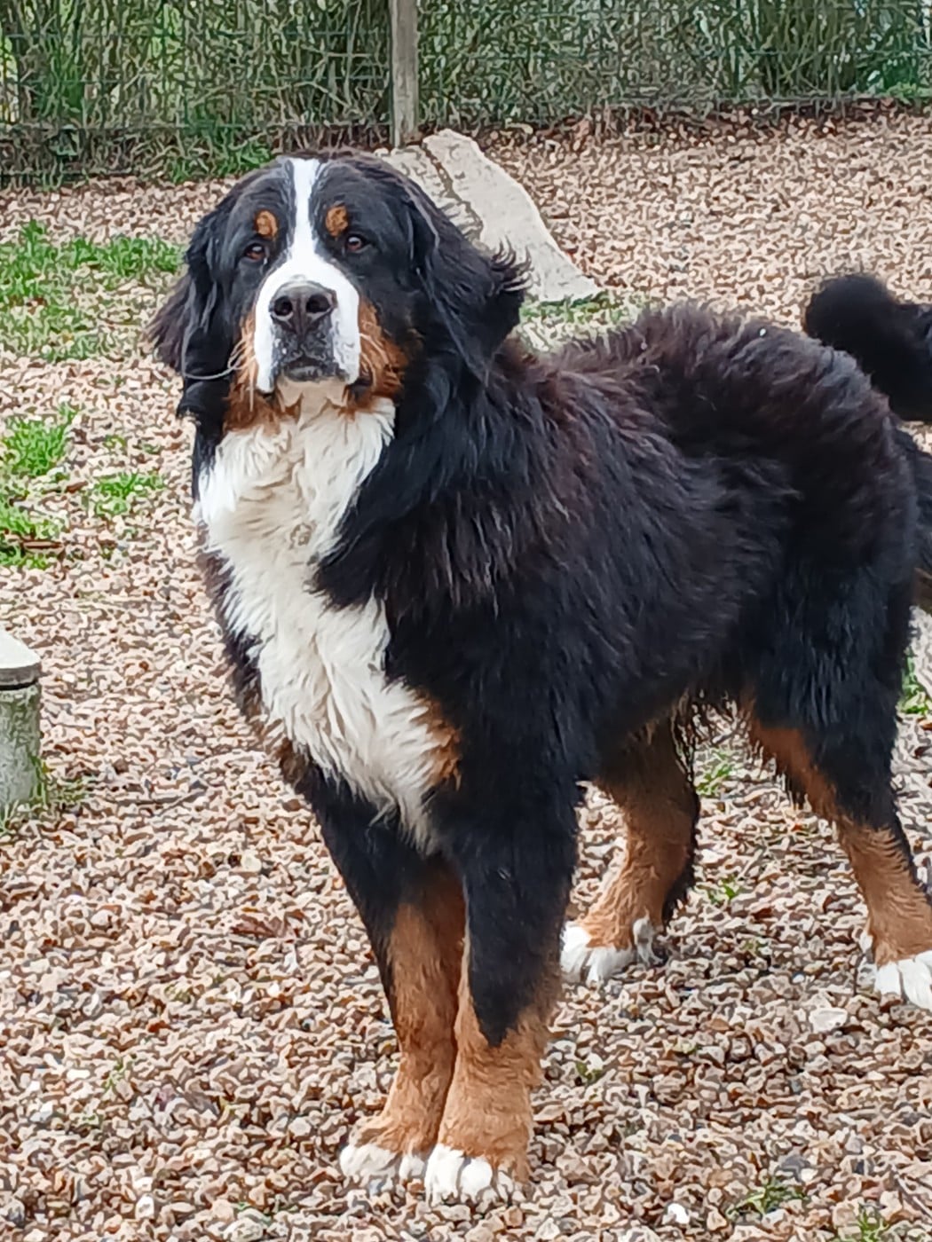 Publication : du domaine de la Rocherie